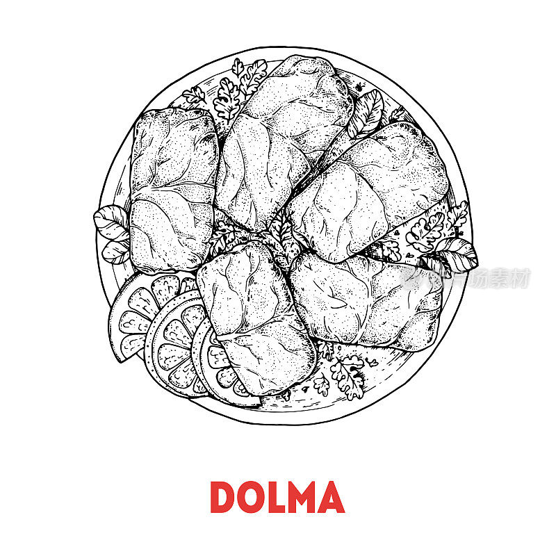 Dolma sketch，土耳其食物。手绘矢量插图。土耳其街头小吃。素描风格。前视图。复古矢量插图。